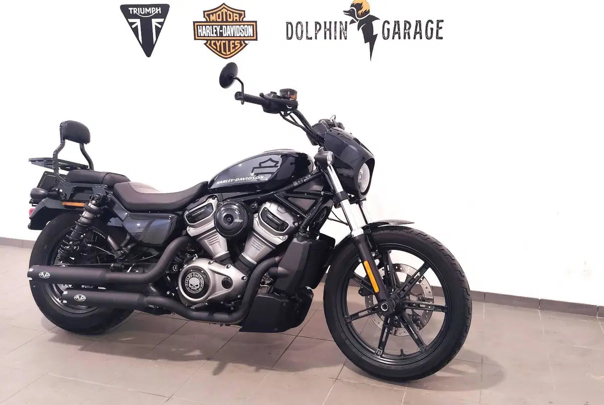 Harley-Davidson Nightster (2023 - 26) (4)