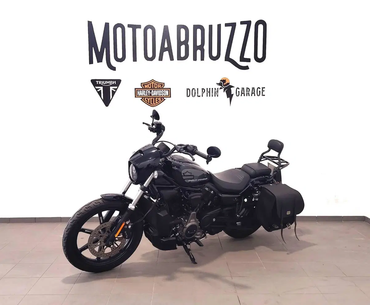 Harley-Davidson Nightster (2023 - 26) (6)