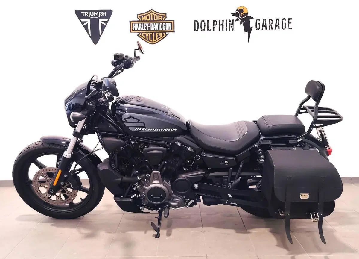 Harley-Davidson Nightster (2023 - 26) (8)