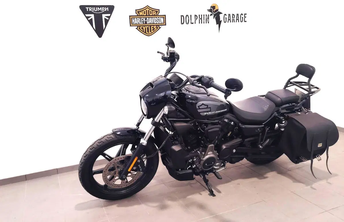 Harley-Davidson Nightster (2023 - 26) (9)