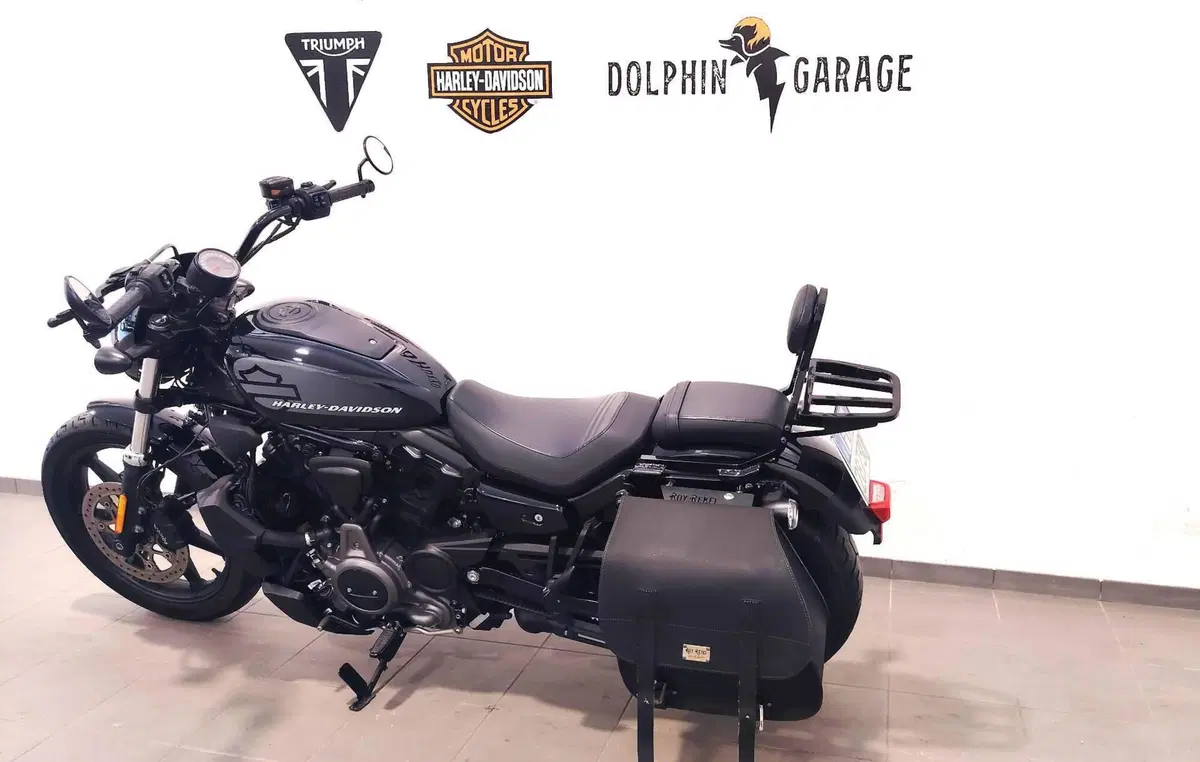 Harley-Davidson Nightster (2023 - 26) (10)