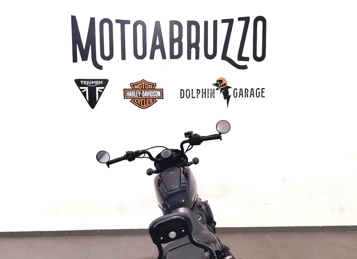Harley-Davidson Nightster (2023 - 26) (12)
