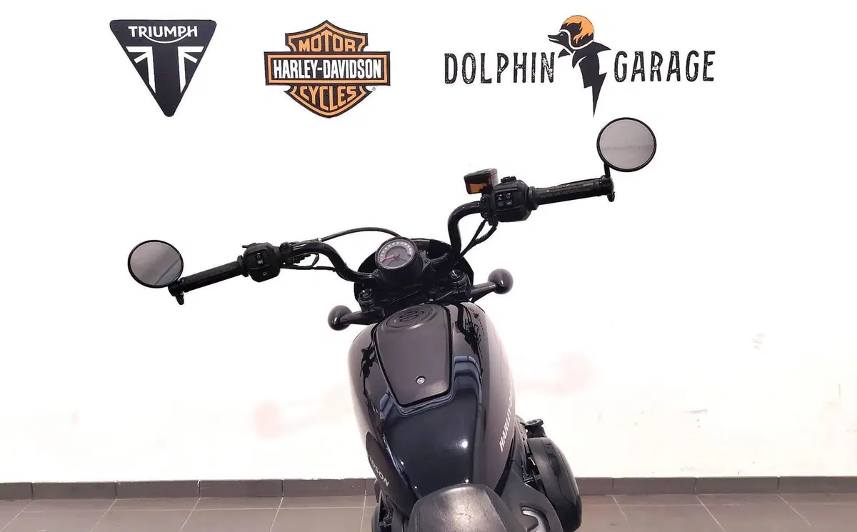 Harley-Davidson Nightster (2023 - 26) (13)