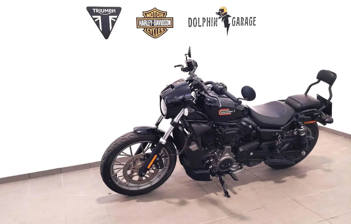 Harley-Davidson Nightster Special (2023 - 26) (9)