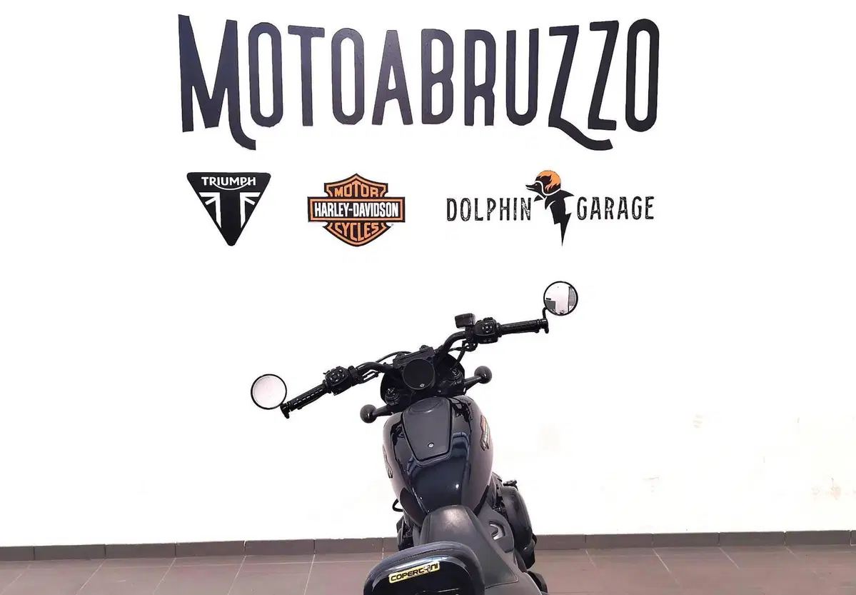 Harley-Davidson Nightster Special (2023 - 26) (12)