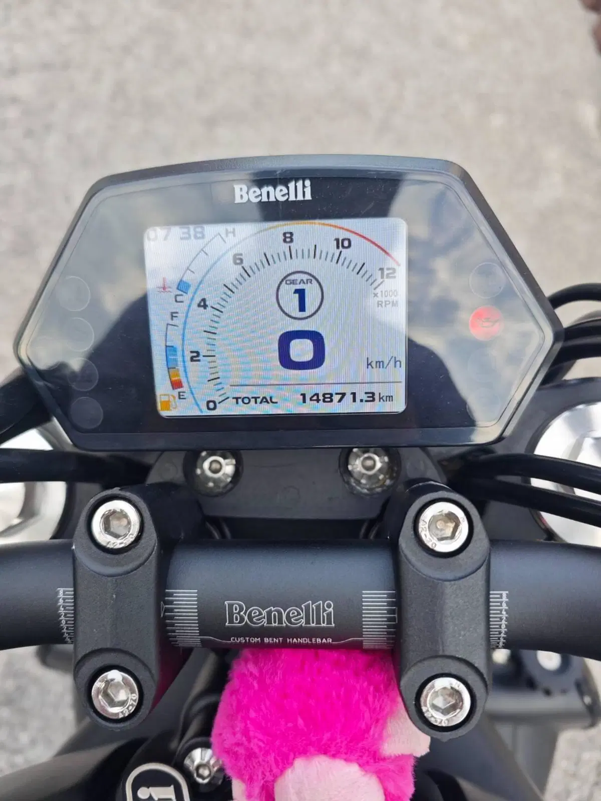 Benelli 502 C (2021 - 25) (4)