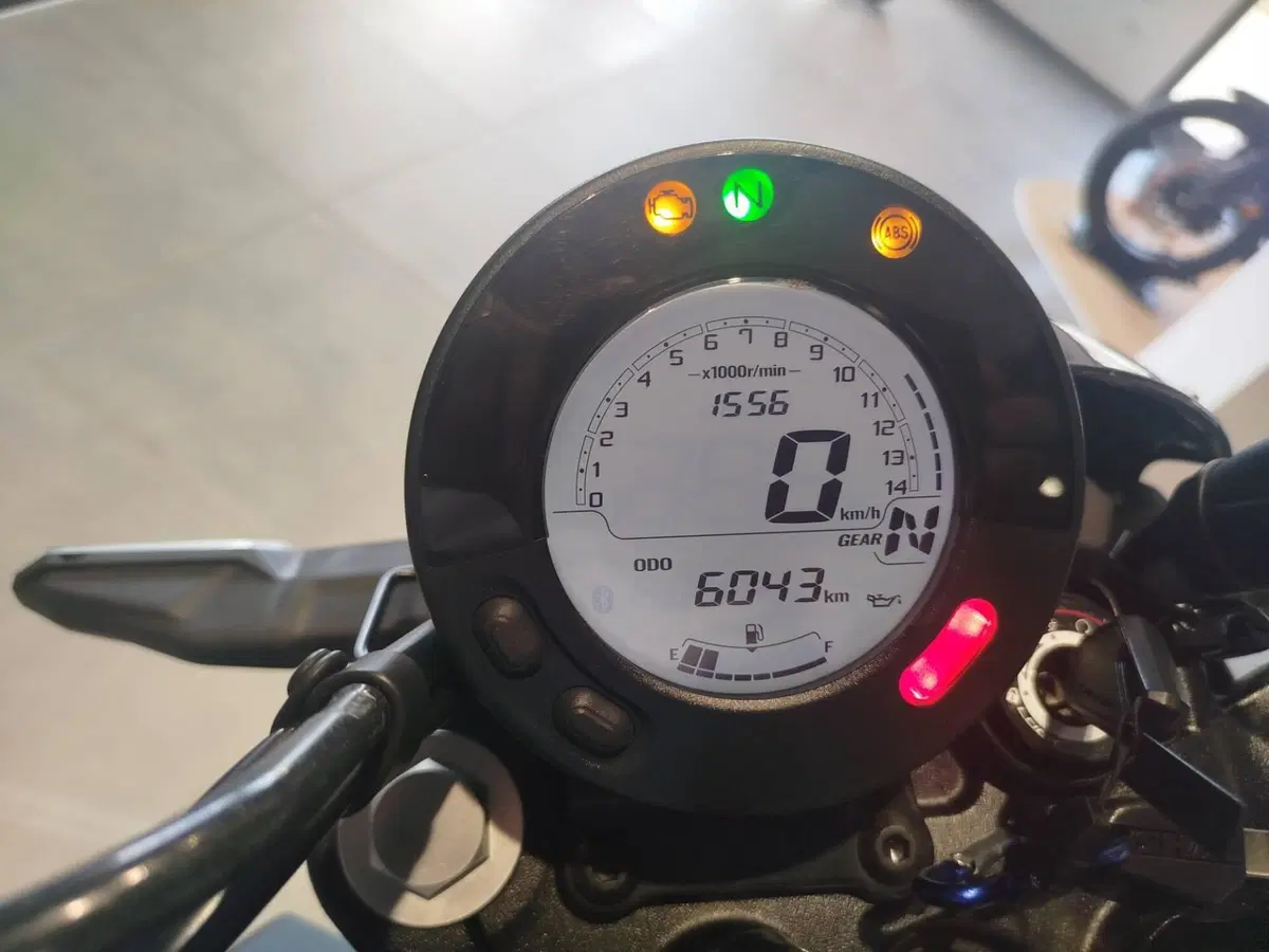 Kawasaki Eliminator 500 SE (2024 - 26) (5)