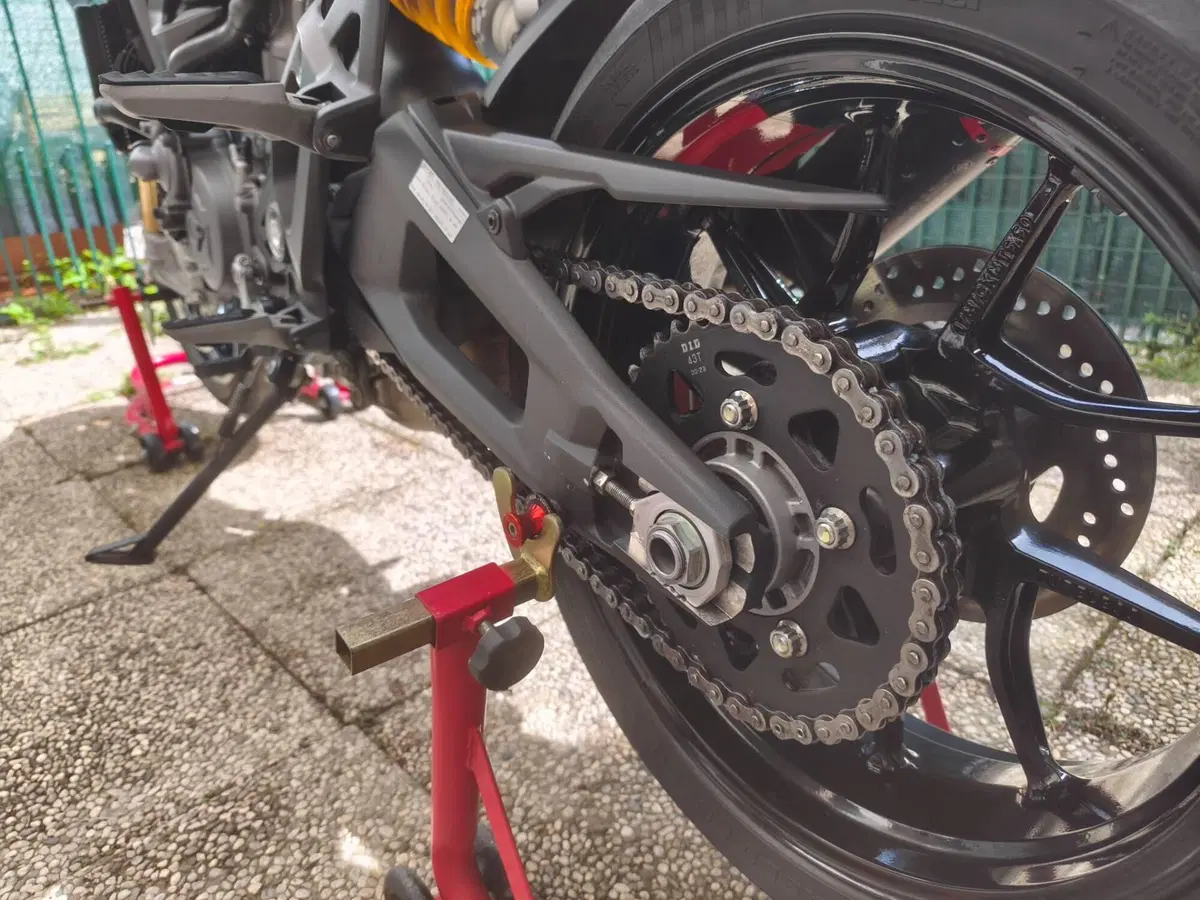 Ducati Monster 937 SP (2023 - 25) (7)