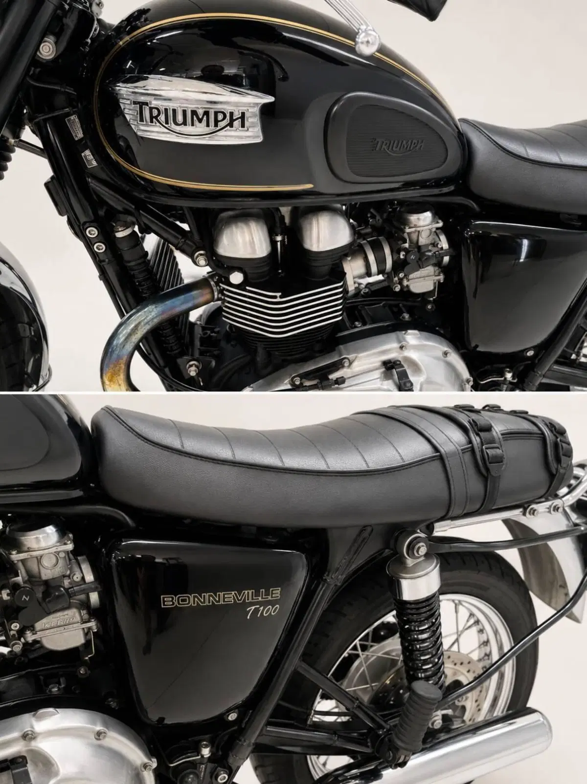 Triumph Bonneville T100 (2008 - 16) (2)