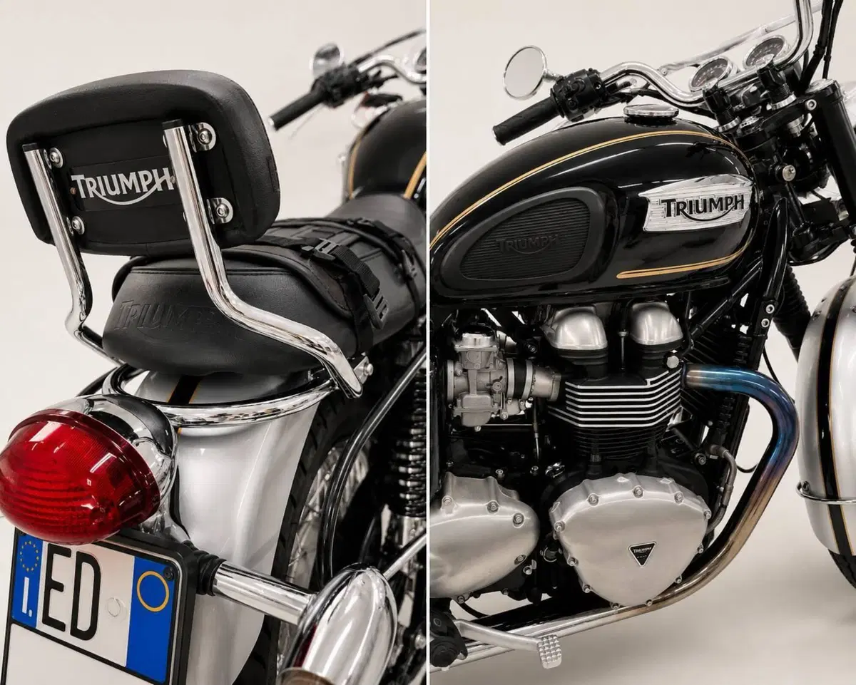 Triumph Bonneville T100 (2008 - 16) (3)