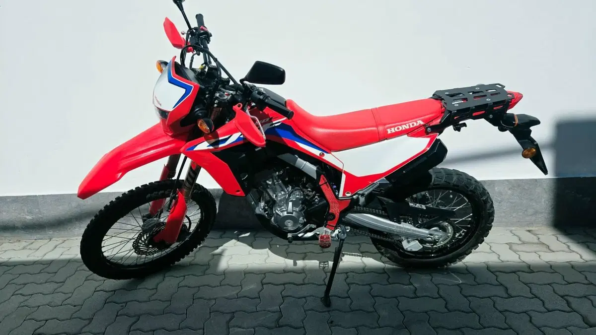 Honda CRF 300L (2021 - 24) (4)