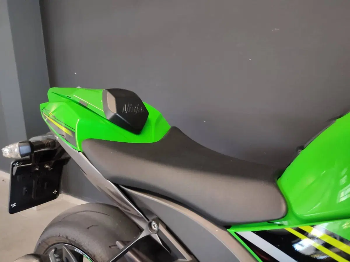 Kawasaki Ninja 1000 ZX-10R KRT Replica (2019 - 20) (6)