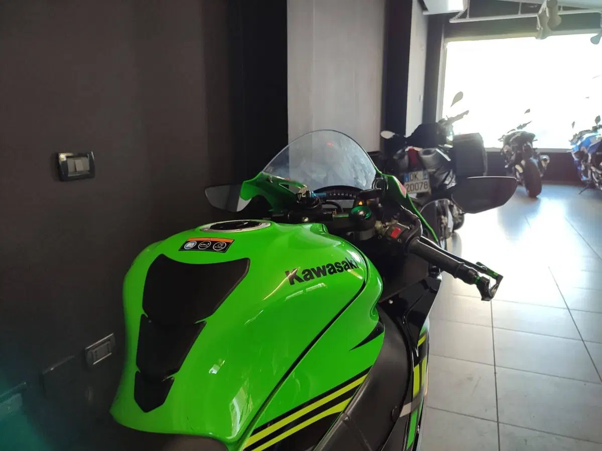 Kawasaki Ninja 1000 ZX-10R KRT Replica (2019 - 20) (7)