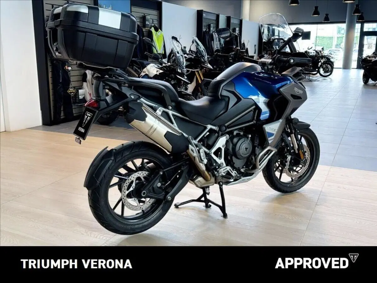 Triumph Tiger 1200 GT Explorer (2022 - 23) (3)