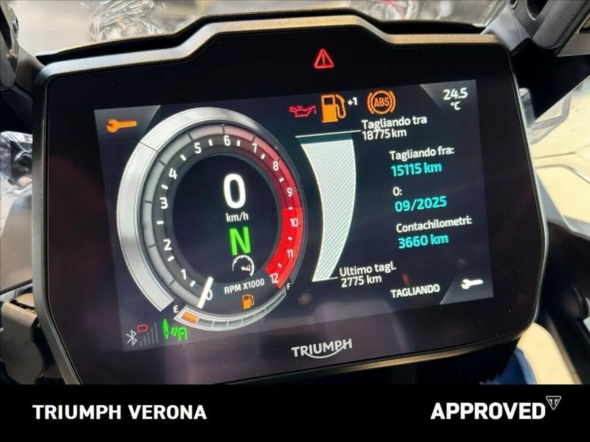 Triumph Tiger 1200 GT Explorer (2022 - 23) (8)