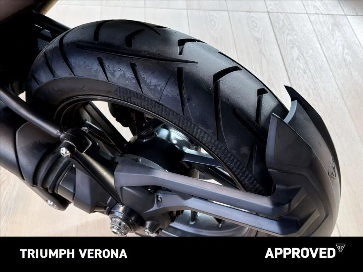 Triumph Tiger 1200 GT Explorer (2022 - 23) (9)