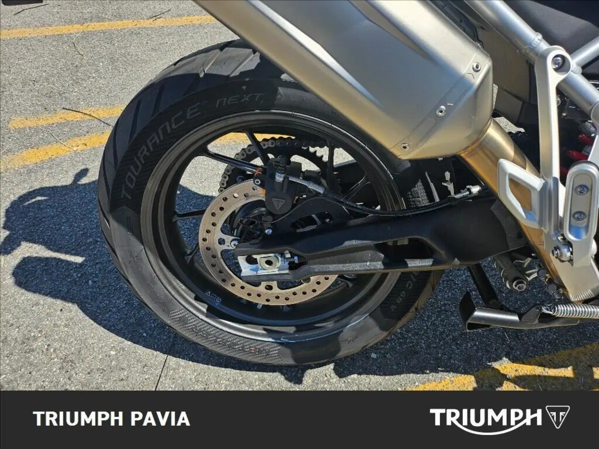 Triumph Tiger 900 Alpine Special Edition (2026) (16)