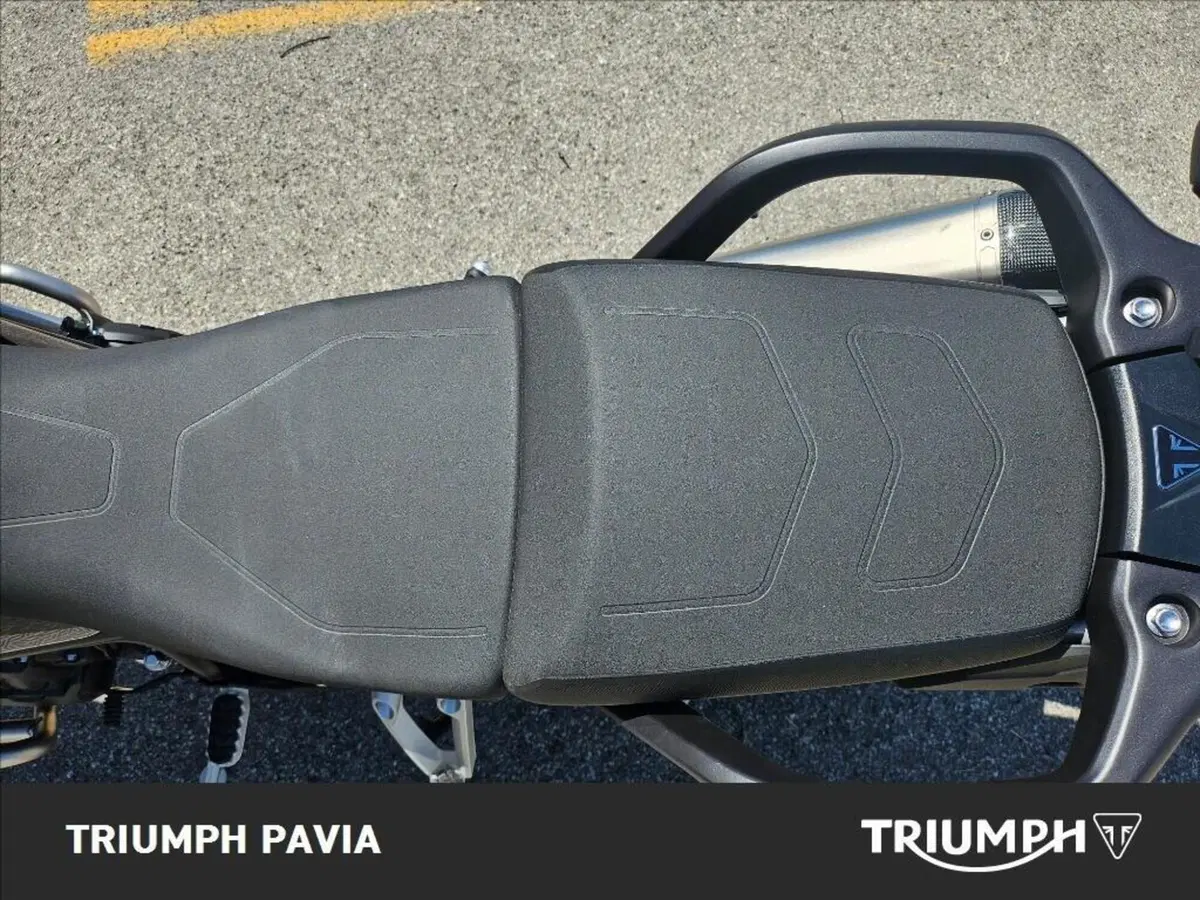 Triumph Tiger 900 Alpine Special Edition (2026) (21)