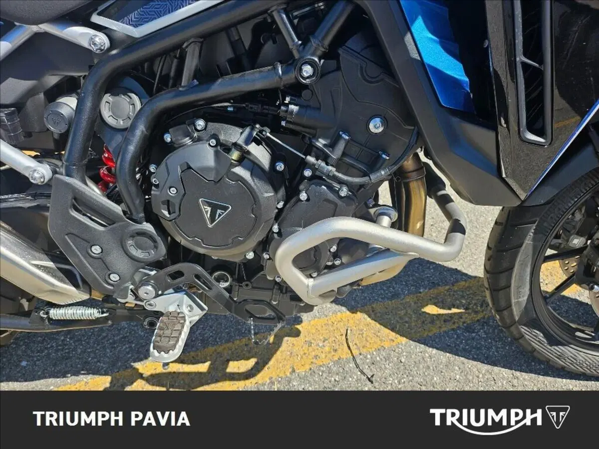 Triumph Tiger 900 Alpine Special Edition (2026) (18)