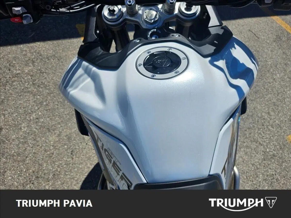 Triumph Tiger 900 Alpine Special Edition (2026) (22)