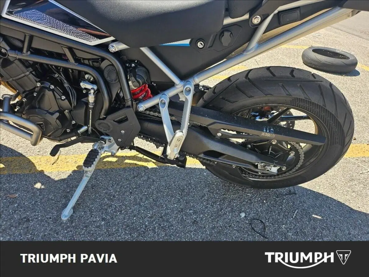 Triumph Tiger 900 Alpine Special Edition (2026) (13)