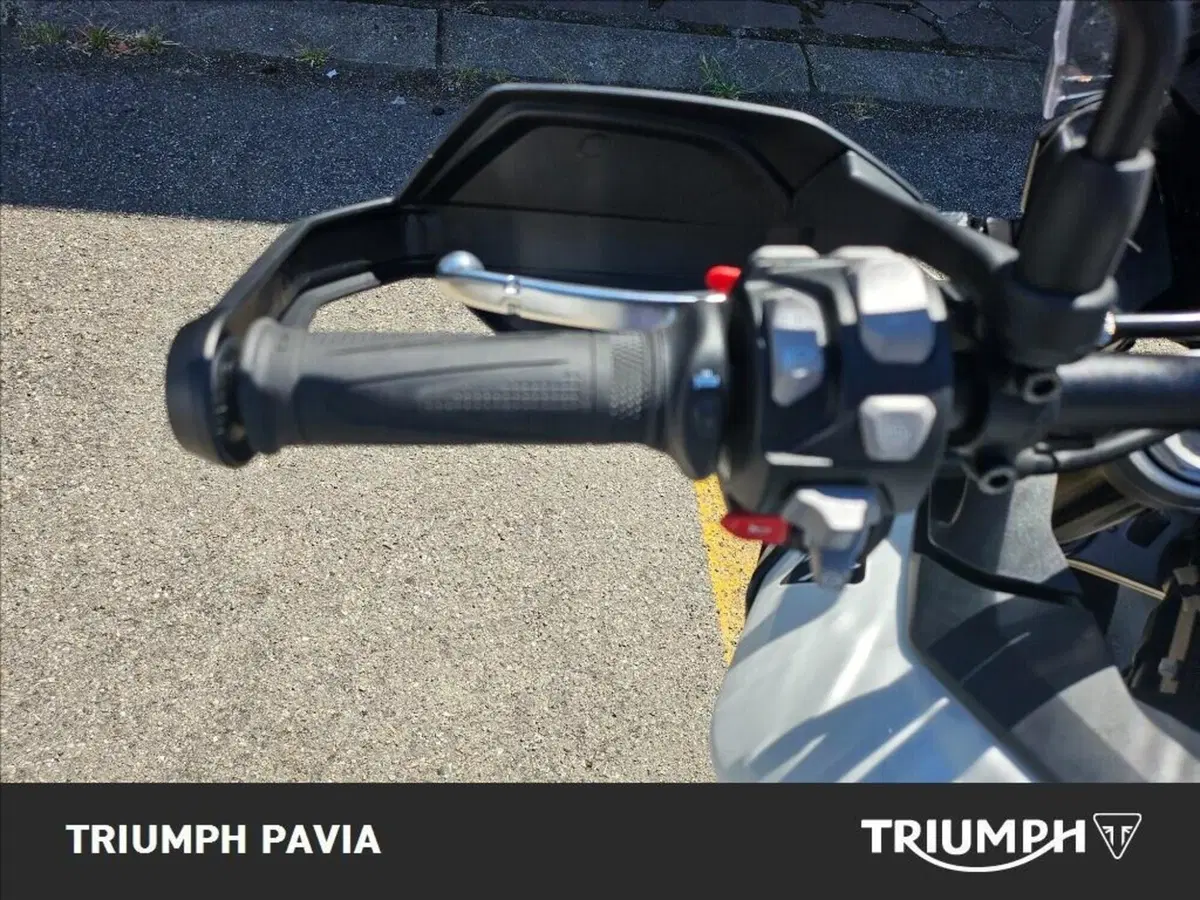 Triumph Tiger 900 Alpine Special Edition (2026) (23)