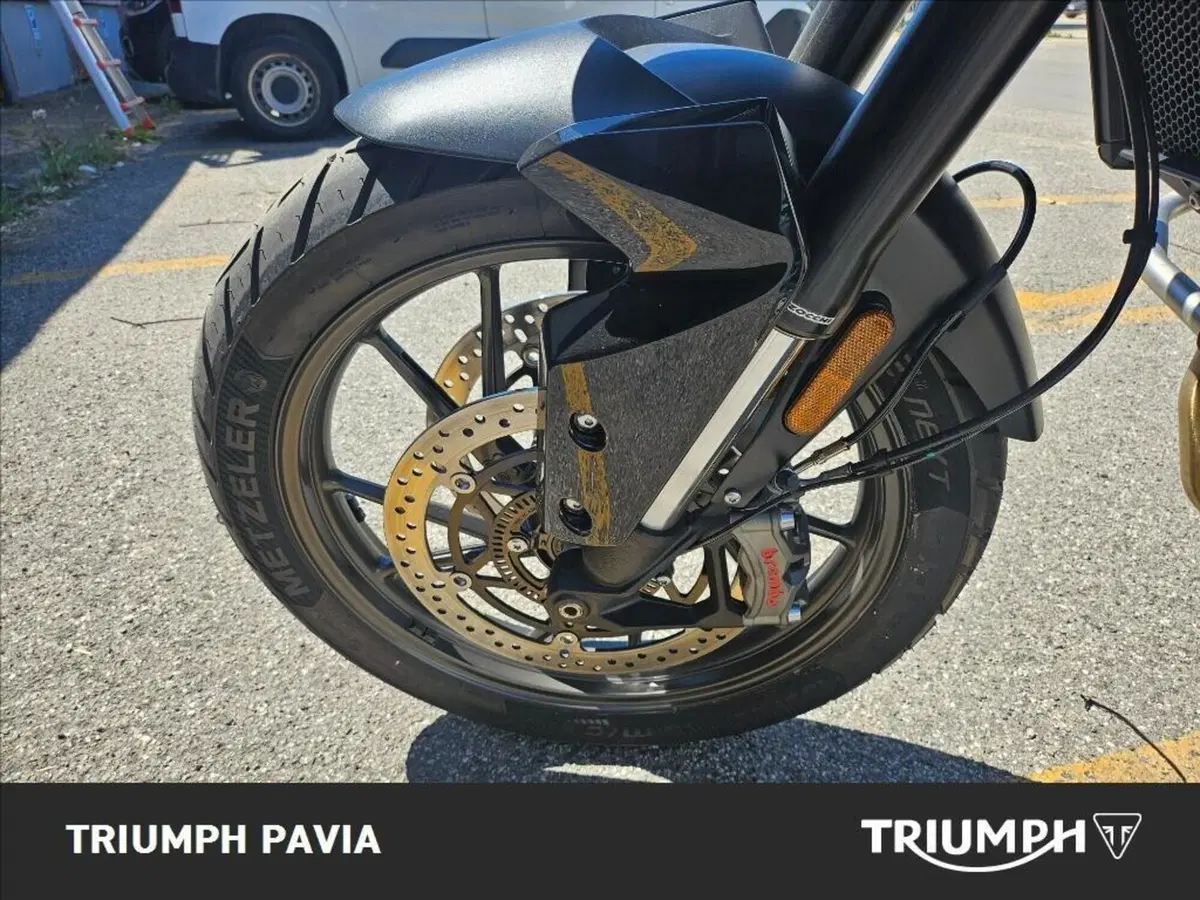 Triumph Tiger 900 Alpine Special Edition (2026) (8)