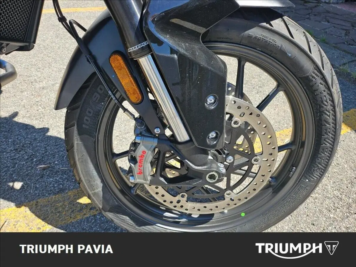 Triumph Tiger 900 Alpine Special Edition (2026) (20)
