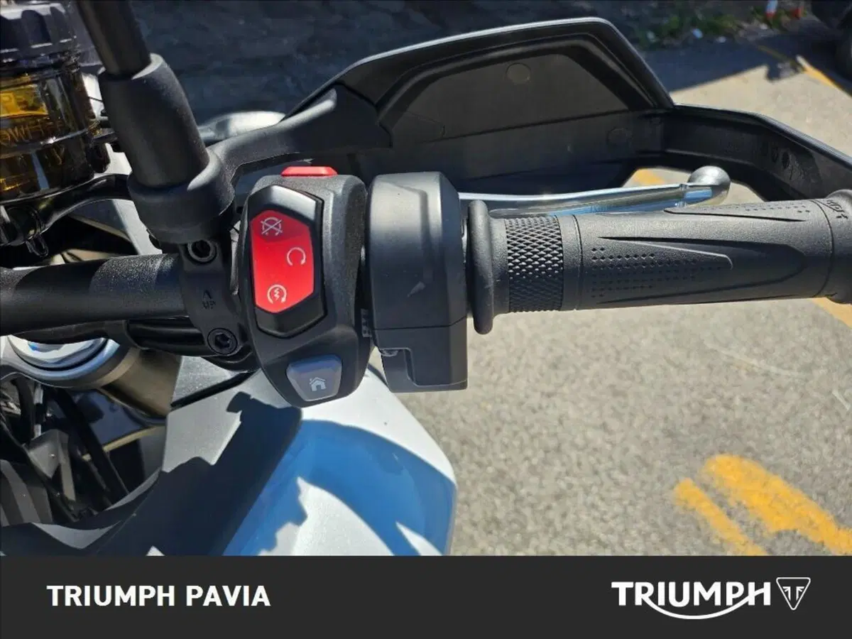Triumph Tiger 900 Alpine Special Edition (2026) (24)