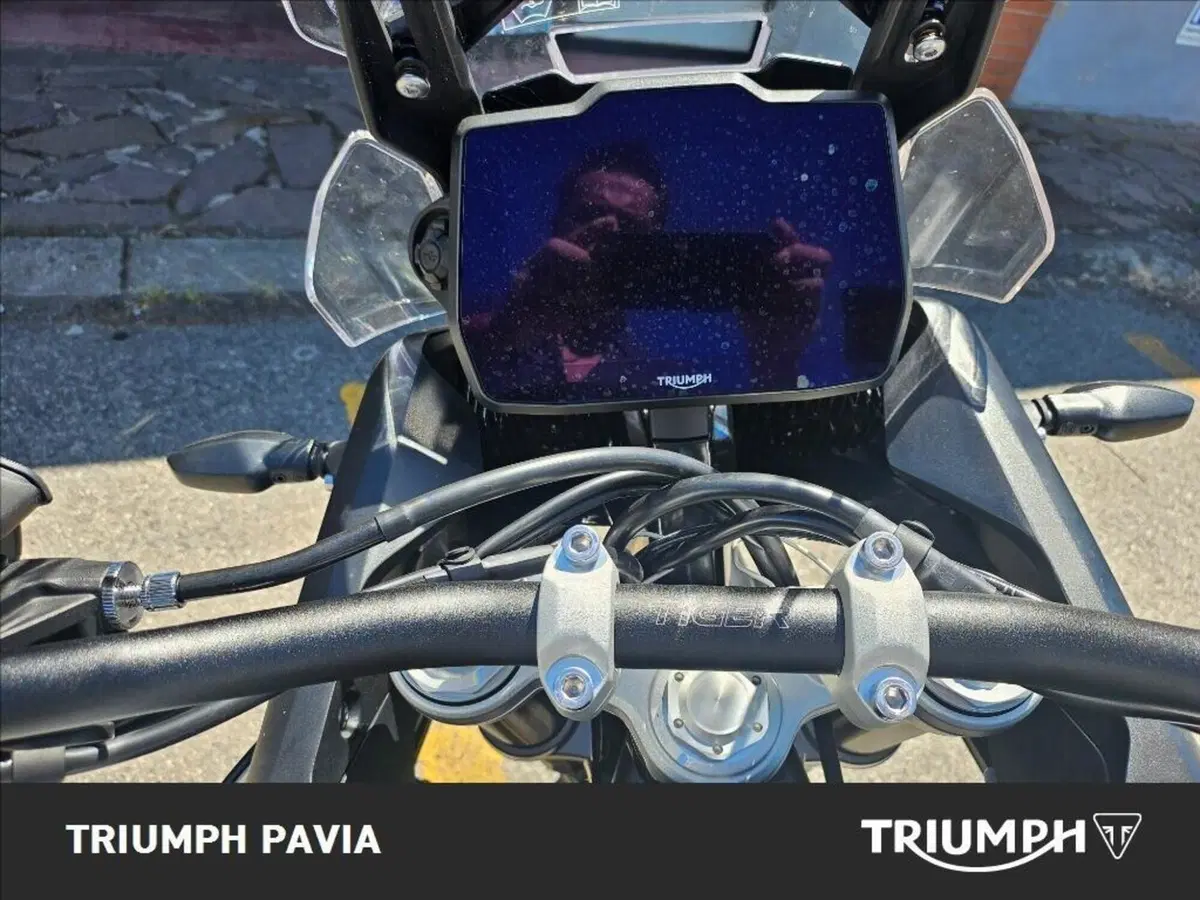 Triumph Tiger 900 Alpine Special Edition (2026) (25)