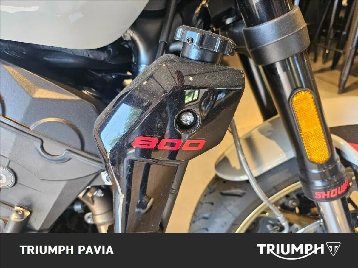 Triumph Trident 800 (2026) (9)