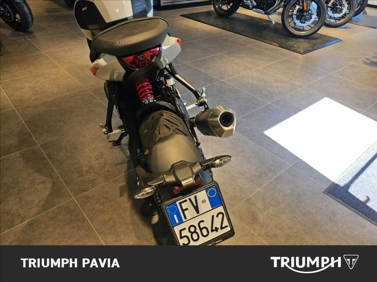 Triumph Trident 800 (2026) (6)