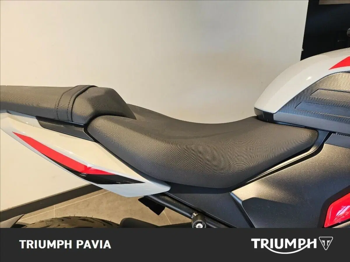 Triumph Trident 800 (2026) (12)