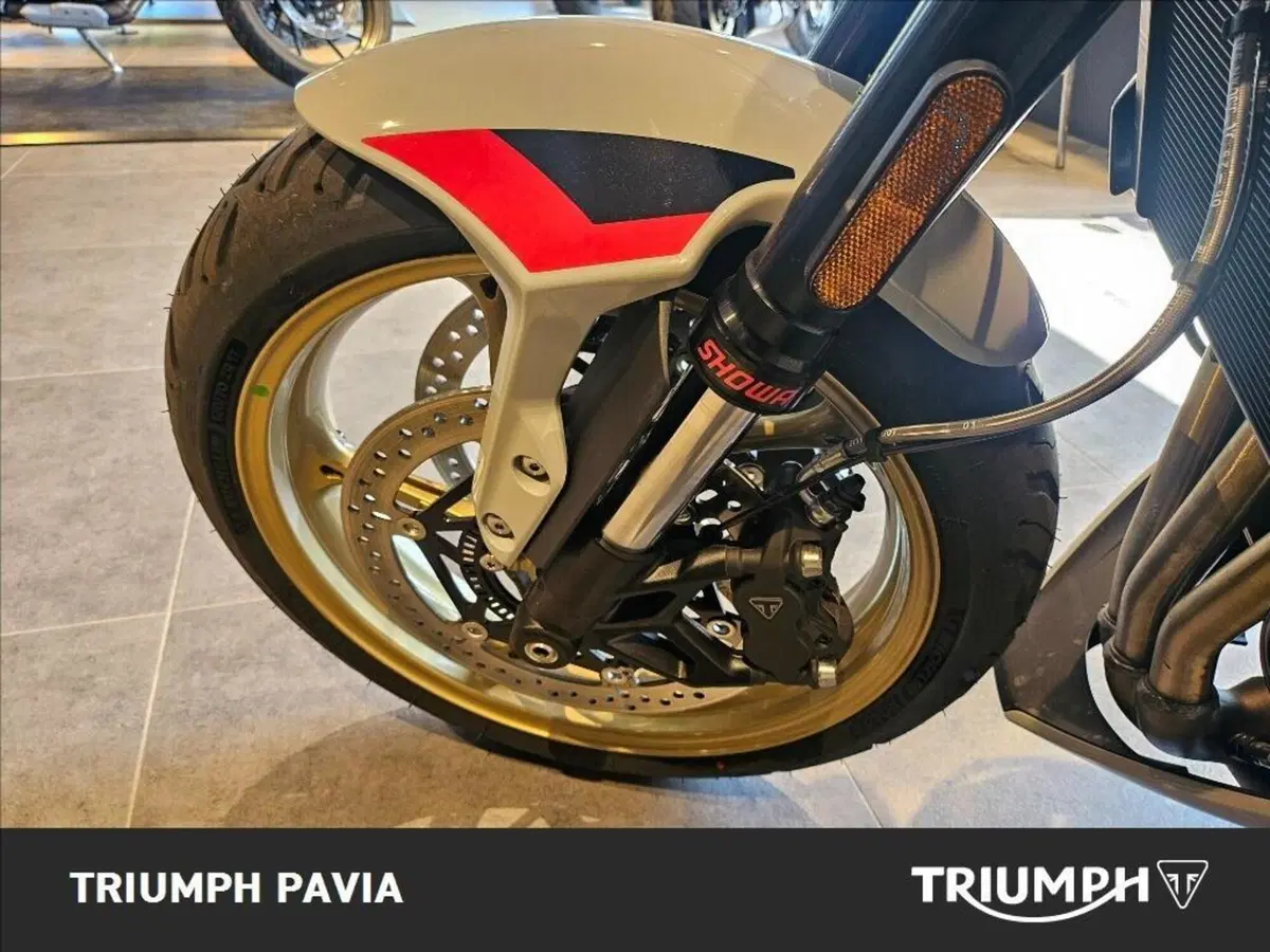 Triumph Trident 800 (2026) (19)