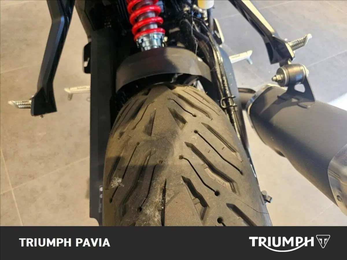 Triumph Trident 800 (2026) (8)
