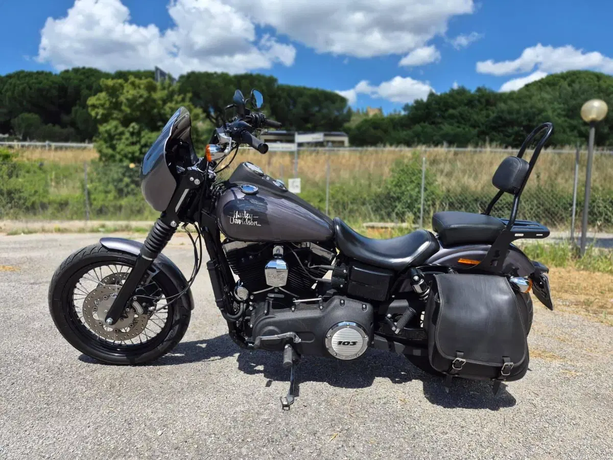Harley-Davidson 1690 Street Bob Special (2015 - 16) - FXDB (3)