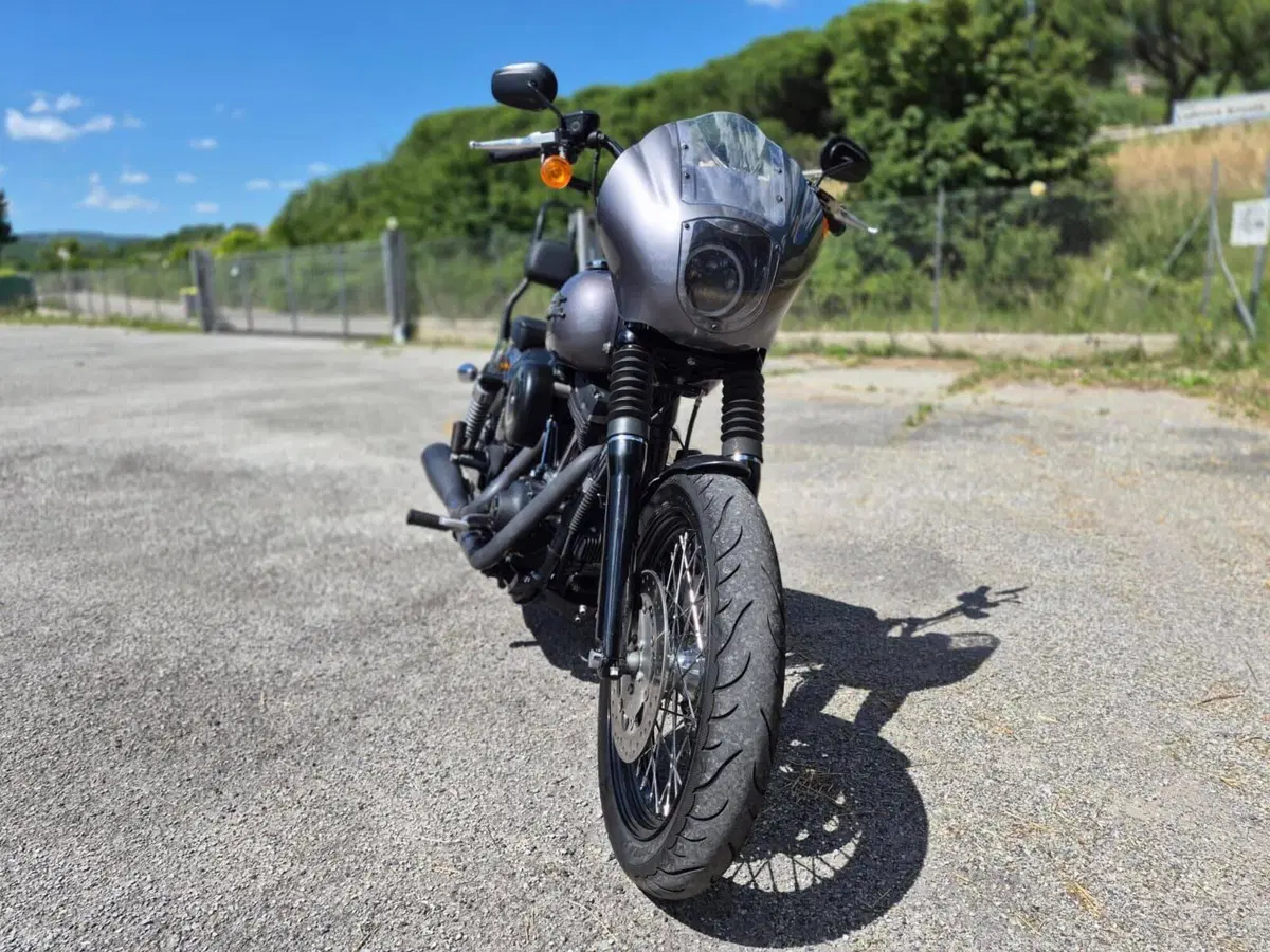 Harley-Davidson 1690 Street Bob Special (2015 - 16) - FXDB (4)
