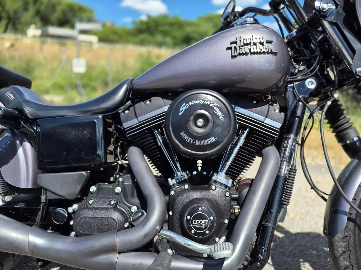 Harley-Davidson 1690 Street Bob Special (2015 - 16) - FXDB (9)