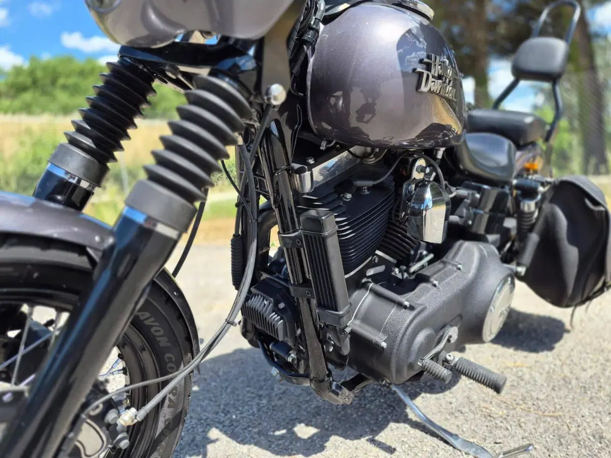 Harley-Davidson 1690 Street Bob Special (2015 - 16) - FXDB (11)