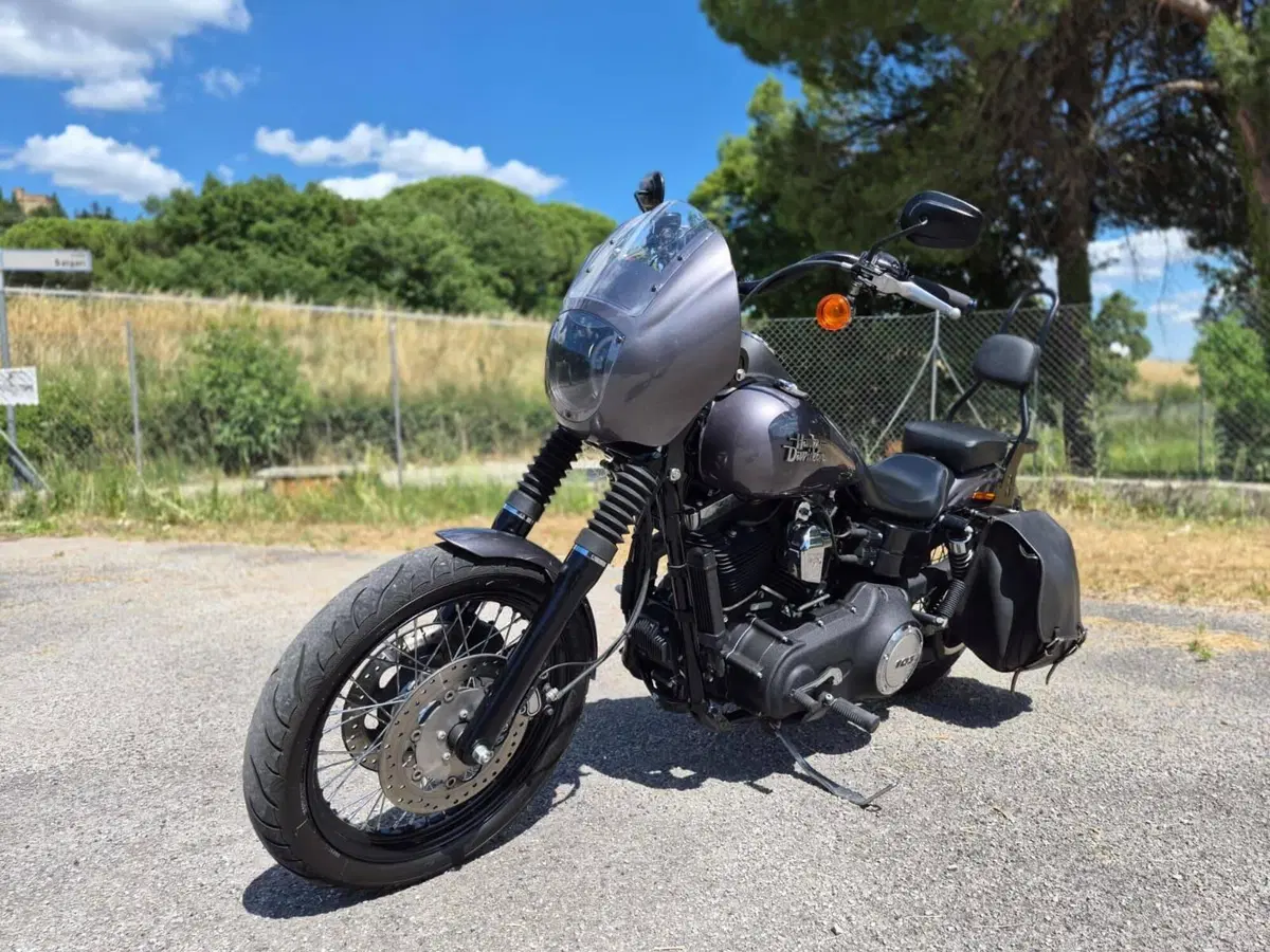 Harley-Davidson 1690 Street Bob Special (2015 - 16) - FXDB (6)