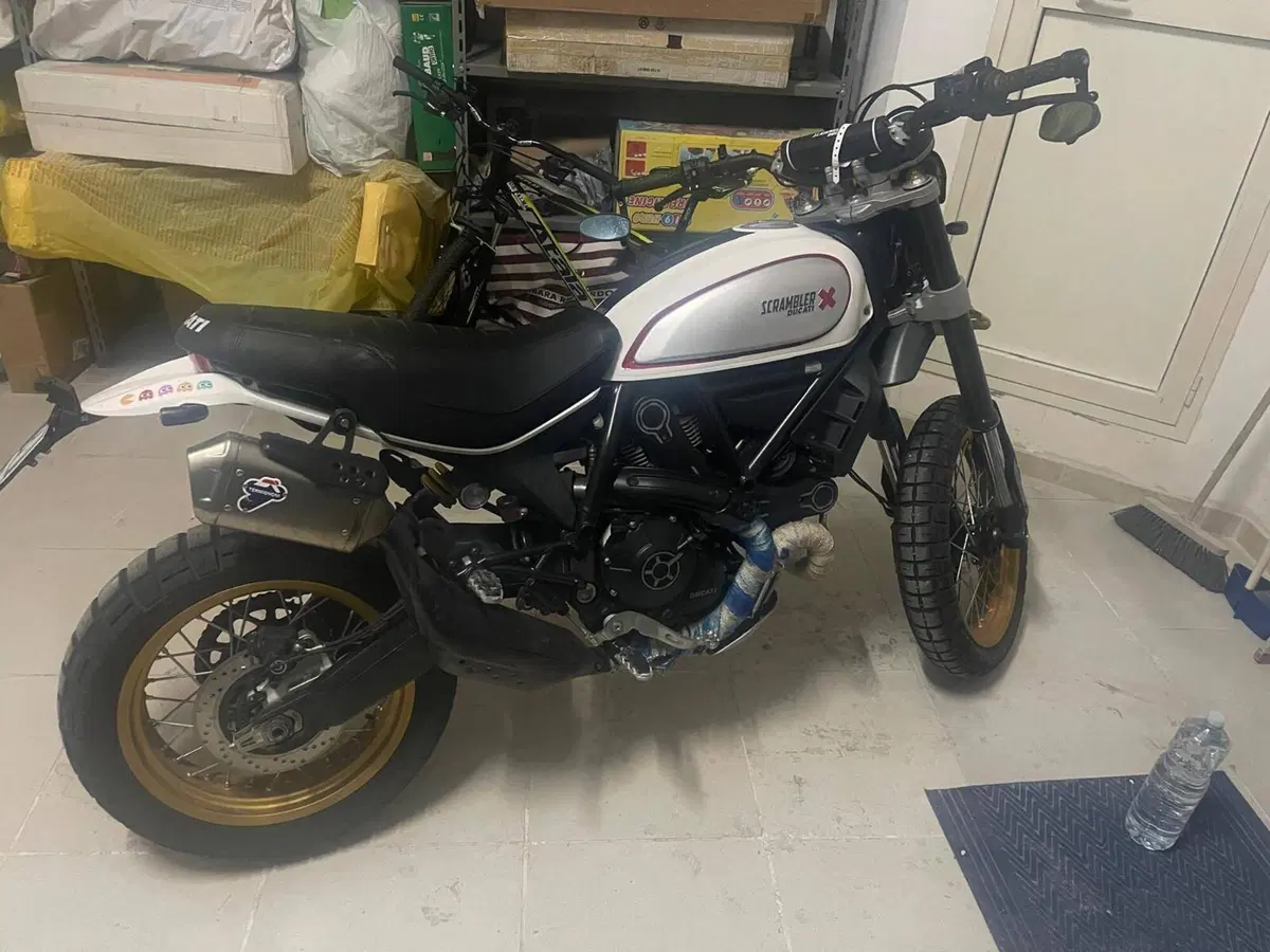 Ducati Scrambler 800 Desert Sled (2017 - 20) (3)