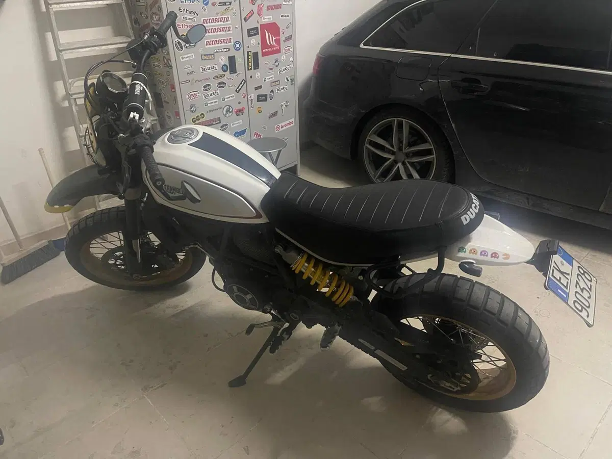 Ducati Scrambler 800 Desert Sled (2017 - 20) (5)