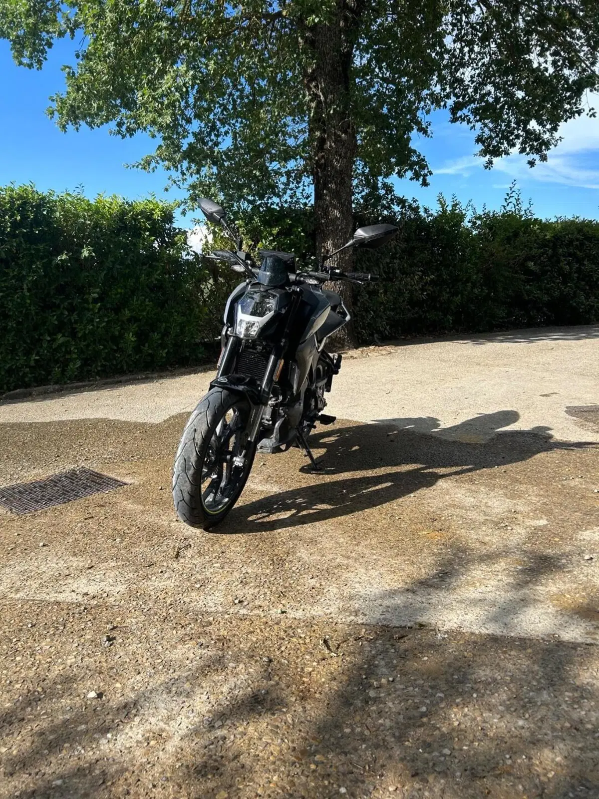 CFMOTO 300NK (2021 - 26) (3)