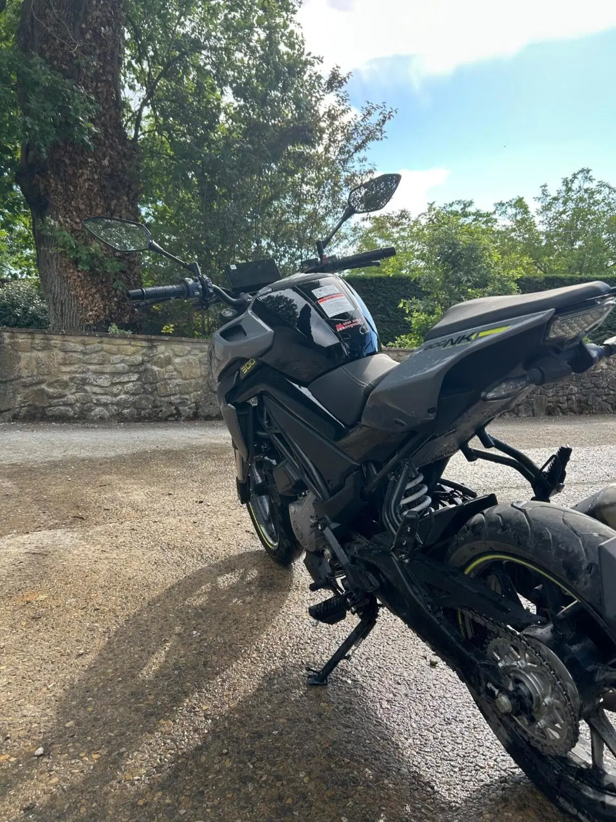 CFMOTO 300NK (2021 - 26) (10)