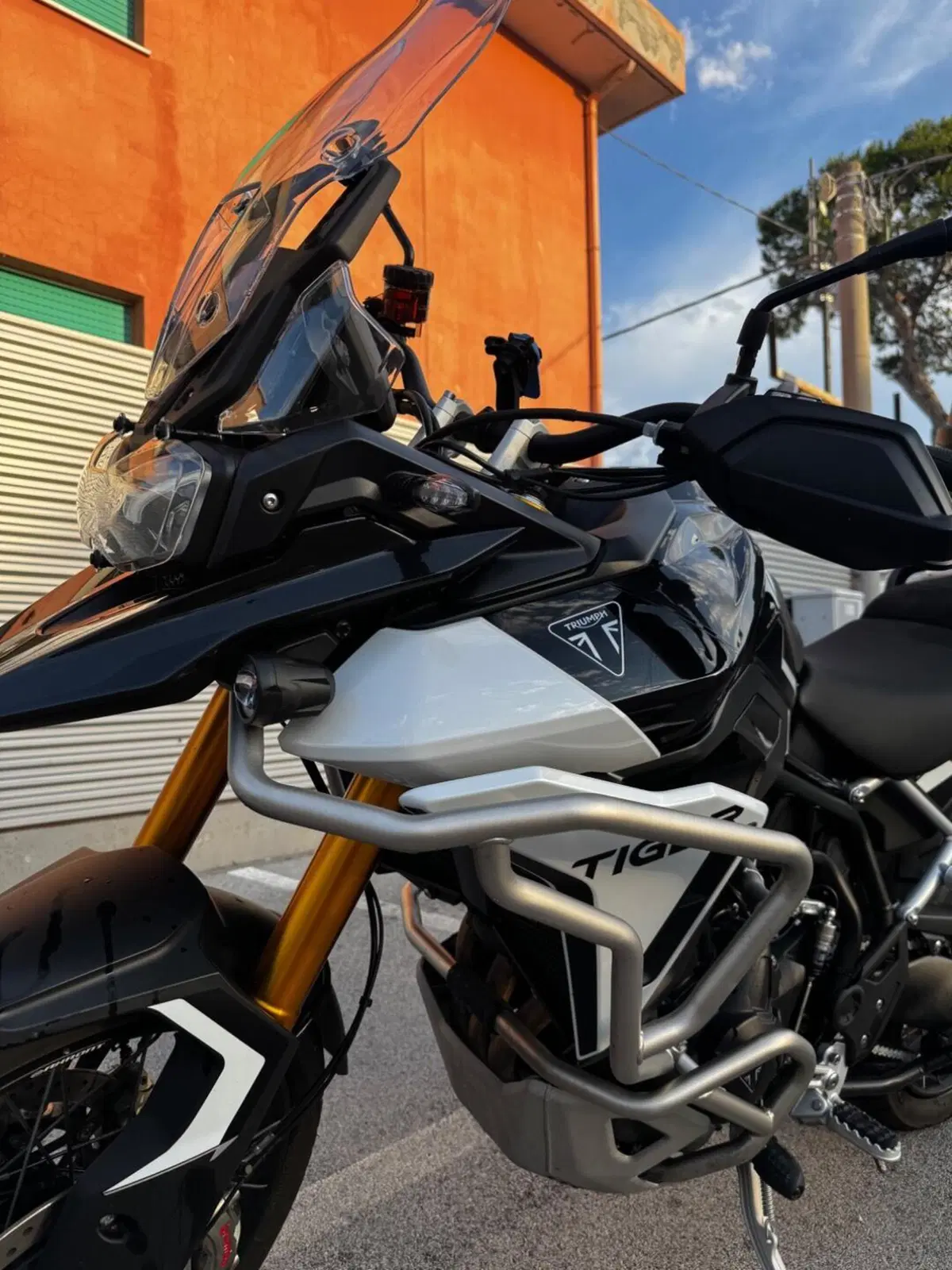 Triumph Tiger 900 GT Pro (2024 - 26) (8)