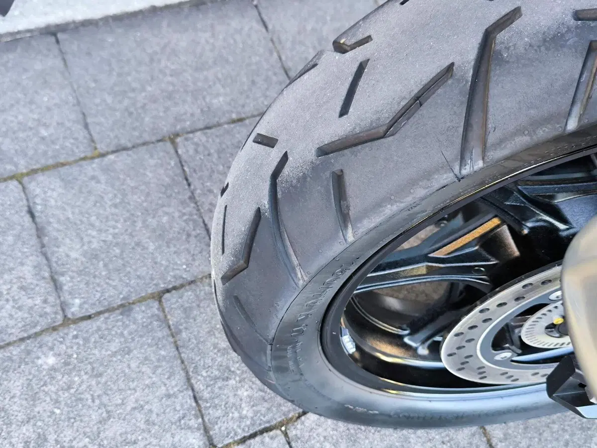 Suzuki V-Strom 800SE (2023 - 24) (4)