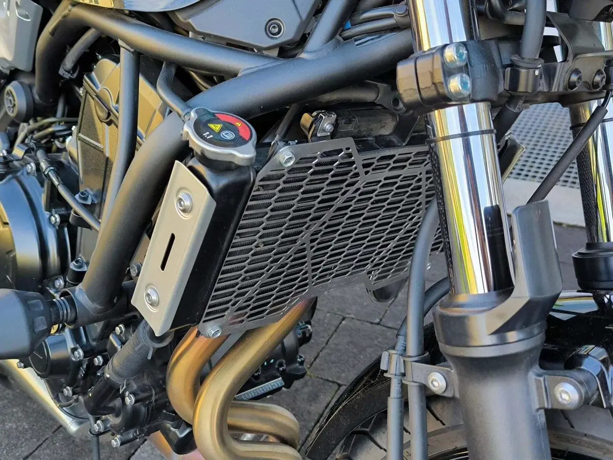 Kawasaki Z 650 RS (2022 - 24) (18)
