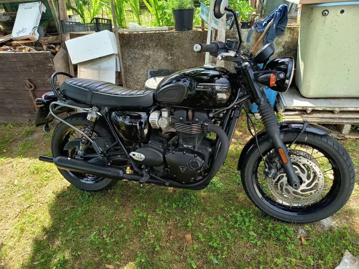 Triumph Bonneville T120 Black (2021 - 25) (3)
