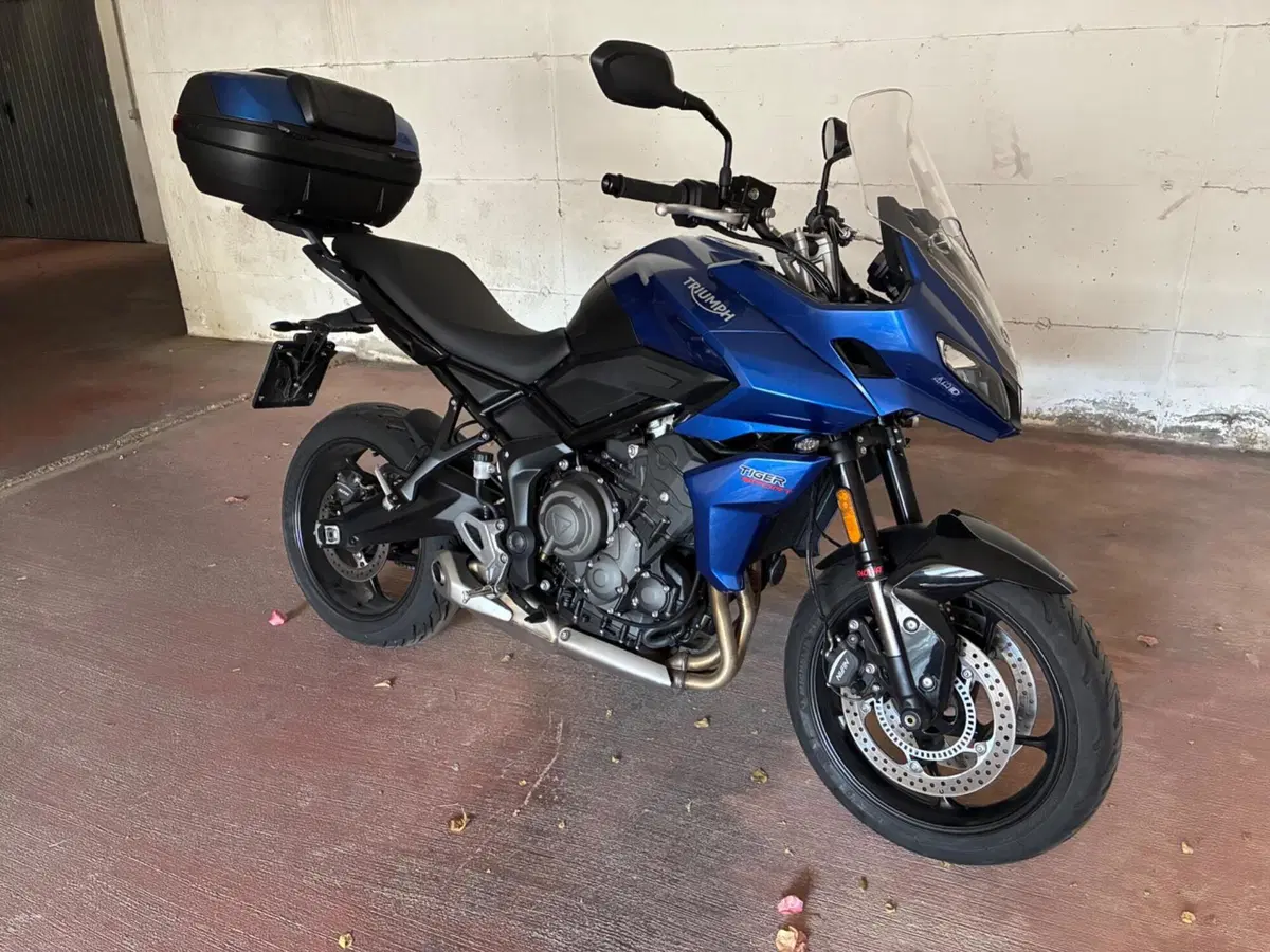 Triumph Tiger Sport 660 (2022 - 24)