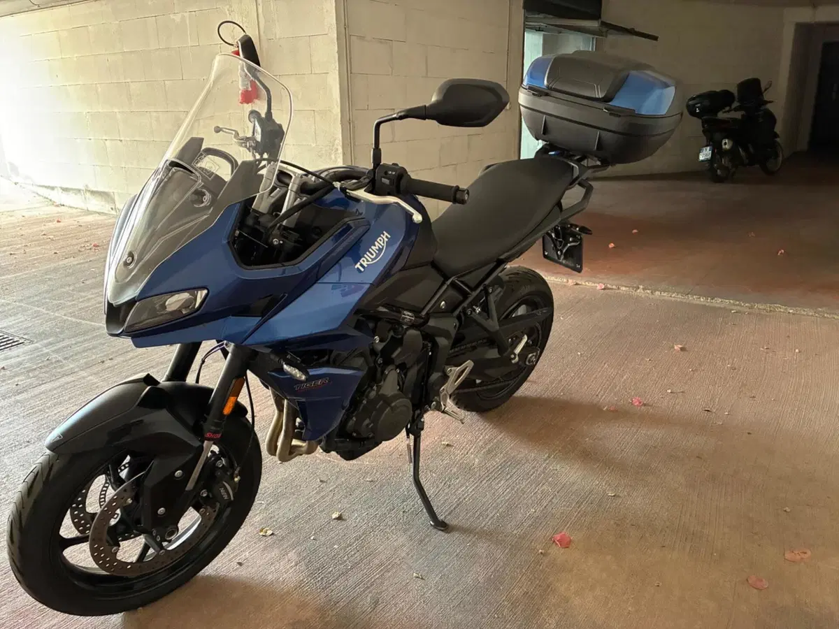 Triumph Tiger Sport 660 (2022 - 24) (4)